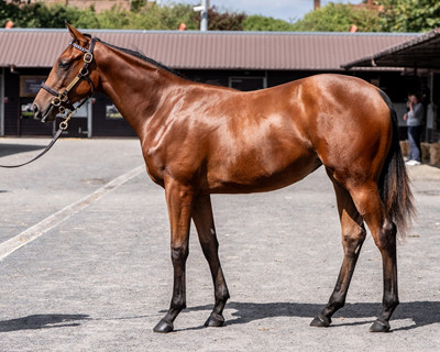 Raven’s Pass x Devious Angel